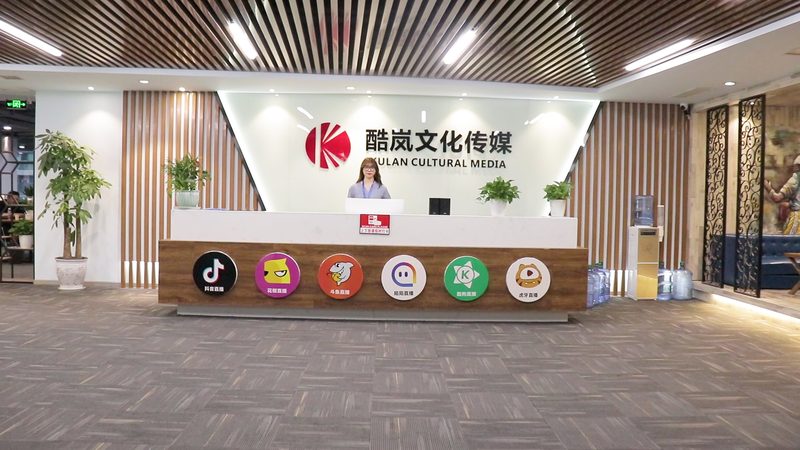 mg动画制作收费标准每秒钟：揭秘行业定价之谜**